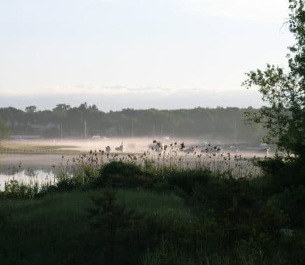 8. view from the master bedroom