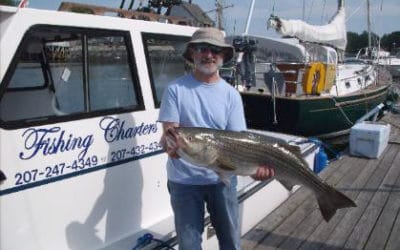 Seaside Inn Kennebunk Beach - Southern Maine Things to Do